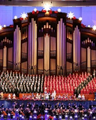 A Very Cardinal Christmas