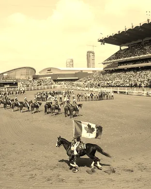 Calgary Stampede Rodeo