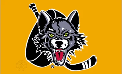 Chicago Wolves