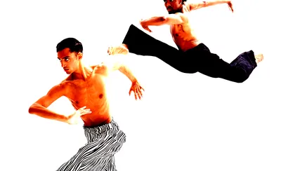 Complexions Contemporary Ballet