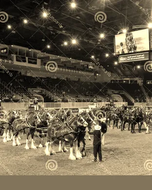 Family Day at the Royal Horse Show Toronto