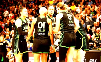 Minnesota Lynx