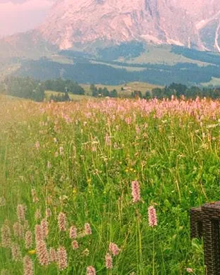 Rick Steves' Europe: A Symphonic Journey