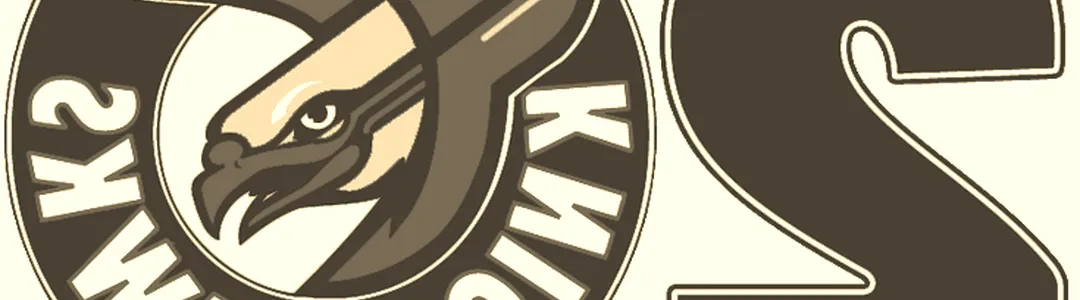 Rochester Knighthawks