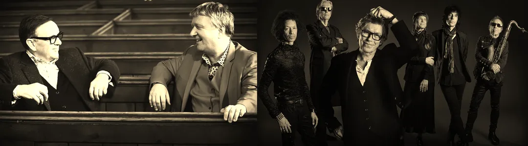 The Psychedelic Furs