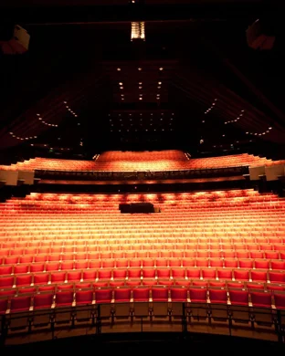 Ricardo Marinello Opera Gala Recital
